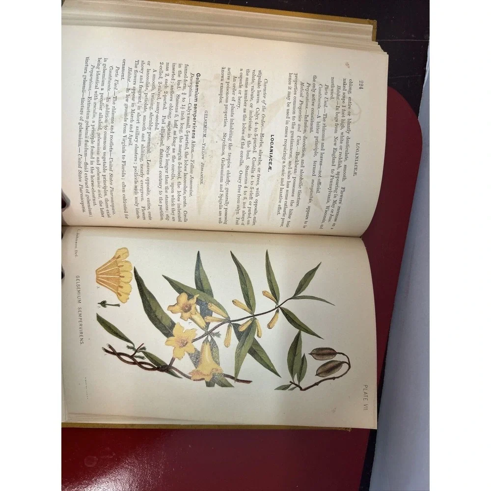 RARE A Manual of the Medical Botany of North America Laurence Johnson 1st E 1984